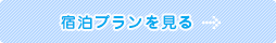 宿泊プランを見る